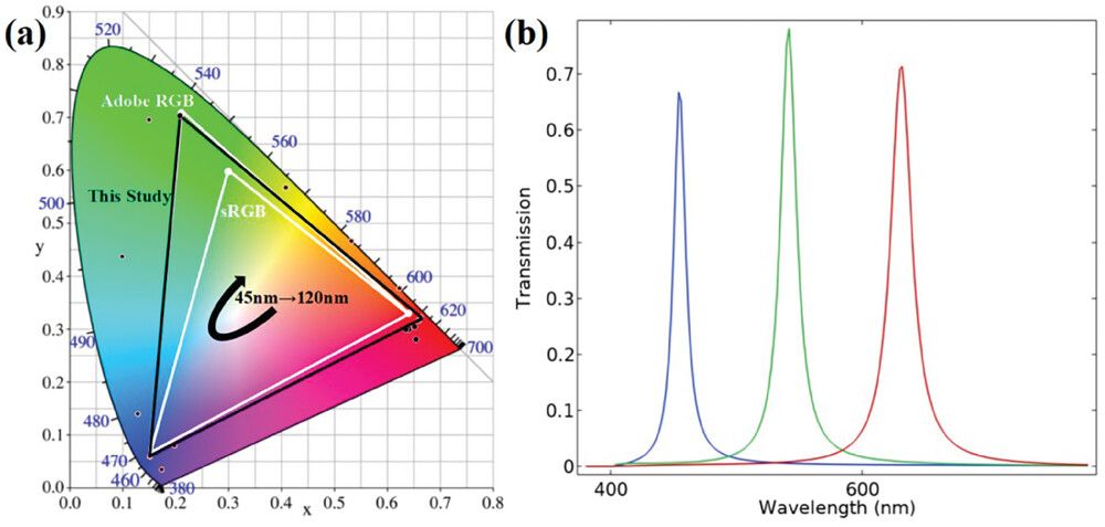 Wide-gamut Cupertino Dynamic Color migration examples