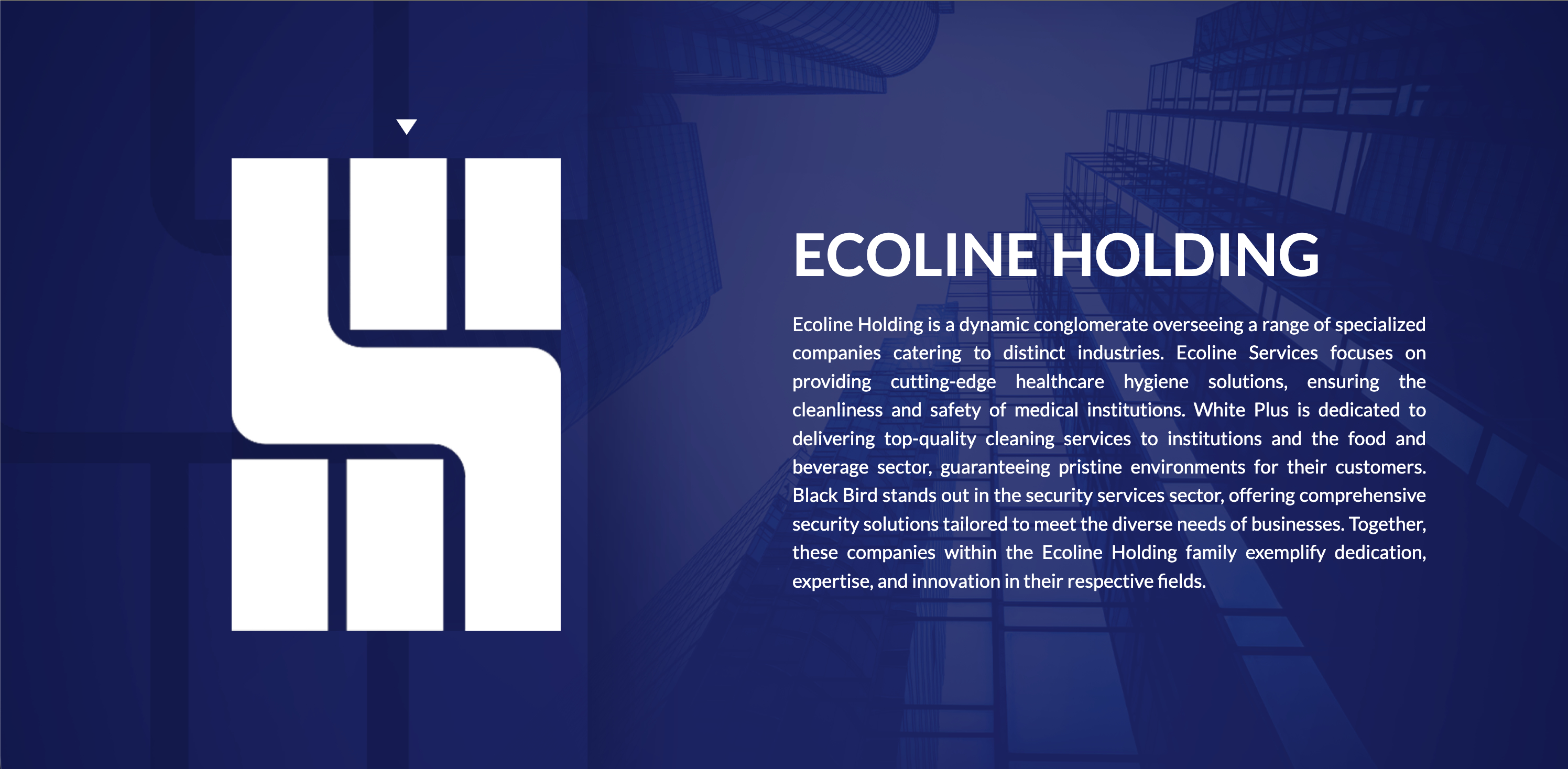 Ecoline Holding - Brand Website